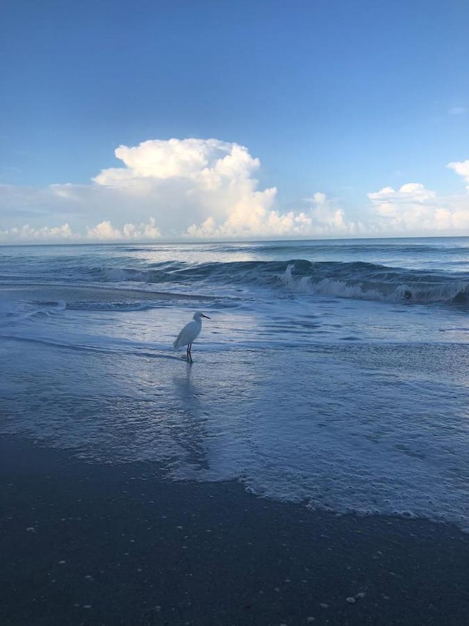 Naples Dream At Wtc With Heated Pool Spa Sauna 7 Bicycles And 3 Mls To Beach Zewnętrze zdjęcie